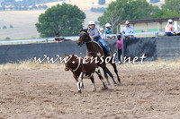 BraidwoodCampdraft2014_0461