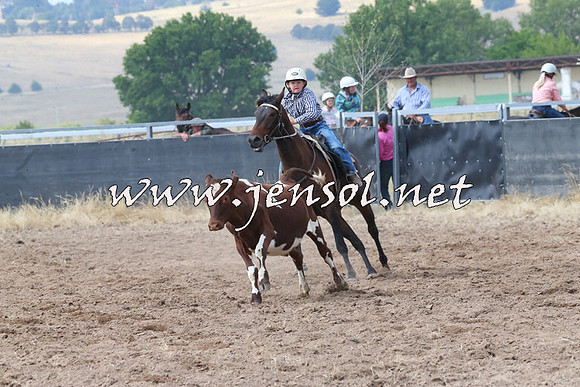 BraidwoodCampdraft2014_0461