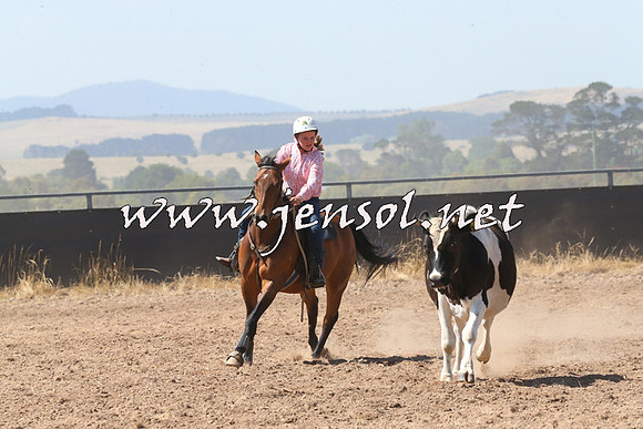 BraidwoodCampdraft2014_0633