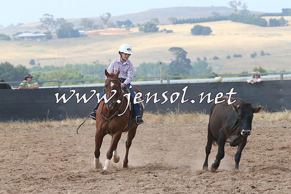BraidwoodCampdraft2014_0487