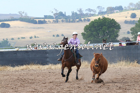 BraidwoodCampdraft2014_0496