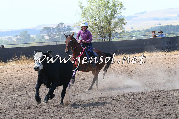 BraidwoodCampdraft2014_0598