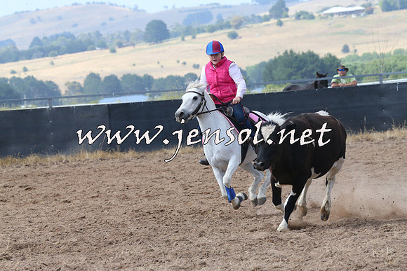 BraidwoodCampdraft2014_0559