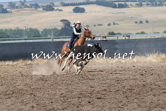 BraidwoodCampdraft2014_0481