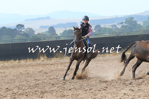 BraidwoodCampdraft2014_0504