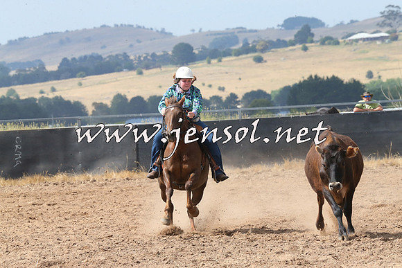 BraidwoodCampdraft2014_0535