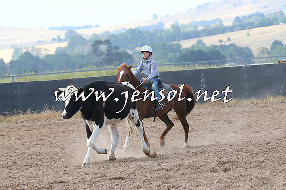 BraidwoodCampdraft2014_0561