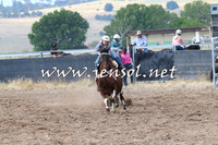BraidwoodCampdraft2014_0464