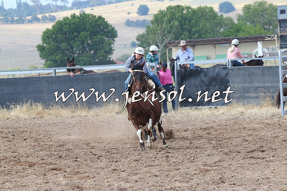 BraidwoodCampdraft2014_0464