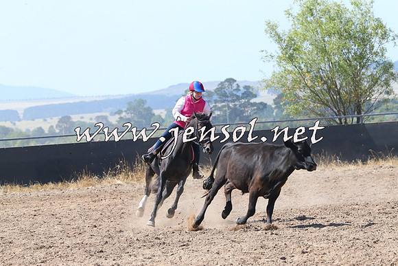 BraidwoodCampdraft2014_0608