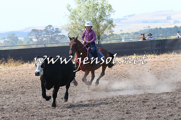 BraidwoodCampdraft2014_0599
