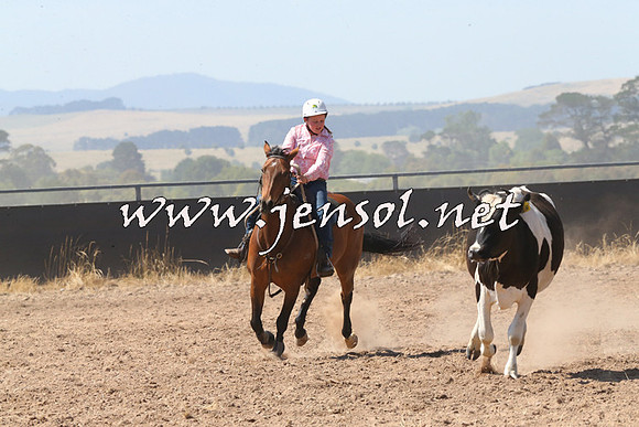 BraidwoodCampdraft2014_0631