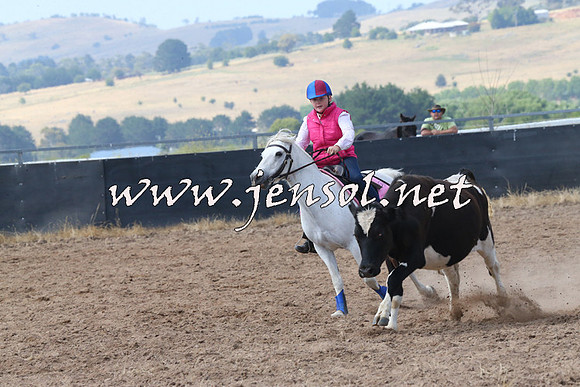 BraidwoodCampdraft2014_0553