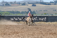 BraidwoodCampdraft2014_0449