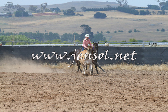 BraidwoodCampdraft2014_0449