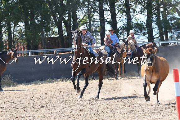 BraidwoodCampdraft2014_0618