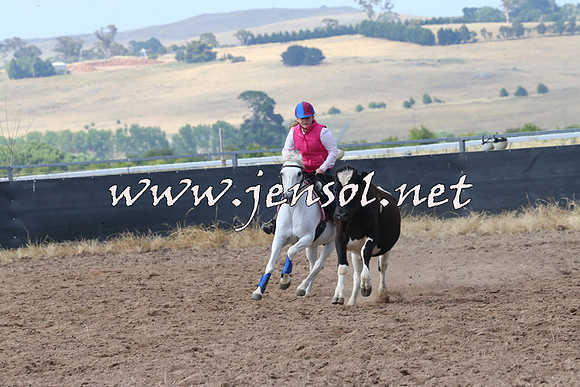 BraidwoodCampdraft2014_0551