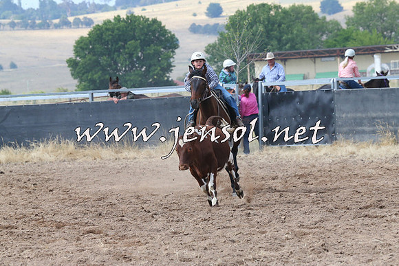 BraidwoodCampdraft2014_0463