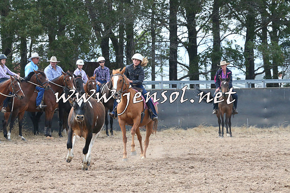BraidwoodCampdraft2014_0518