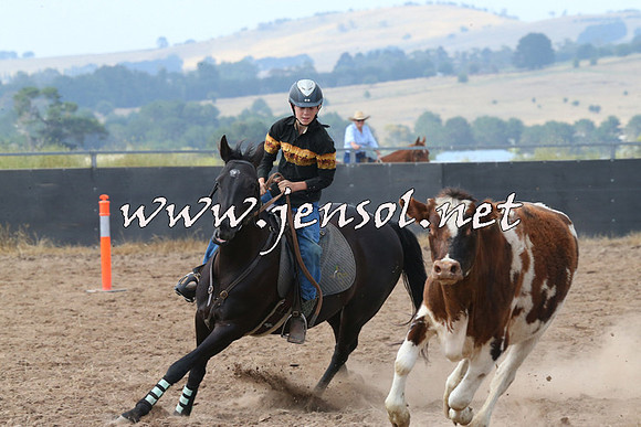 BraidwoodCampdraft2014_0476