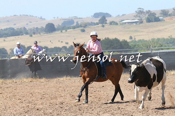 BraidwoodCampdraft2014_0628