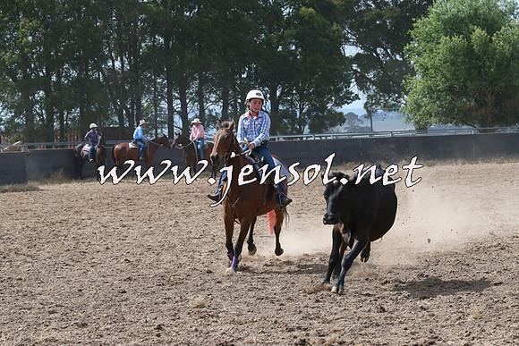BraidwoodCampdraft2014_0528