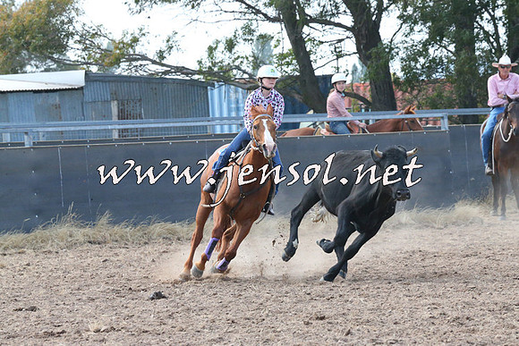 BraidwoodCampdraft2014_0573