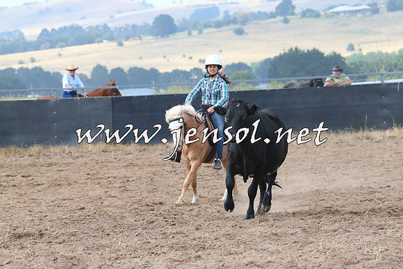 BraidwoodCampdraft2014_0491