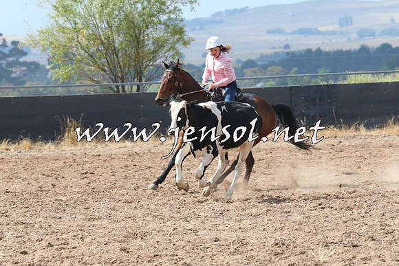 BraidwoodCampdraft2014_0467