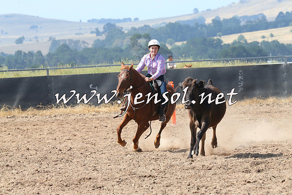 BraidwoodCampdraft2014_0584
