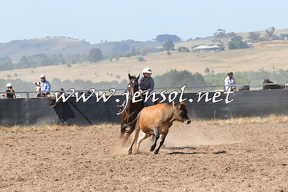 BraidwoodCampdraft2014_0611