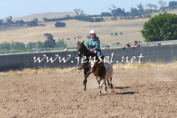 BraidwoodCampdraft2014_0602