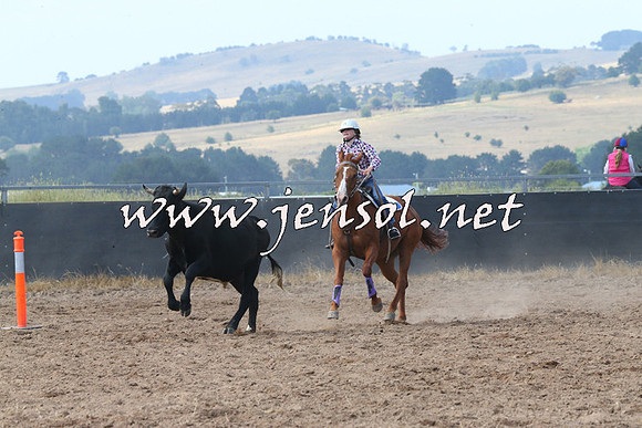 BraidwoodCampdraft2014_0569