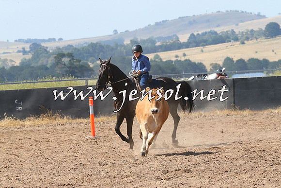 BraidwoodCampdraft2014_0594
