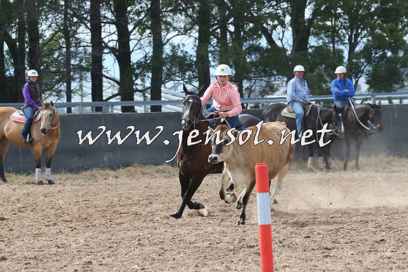 BraidwoodCampdraft2014_0452