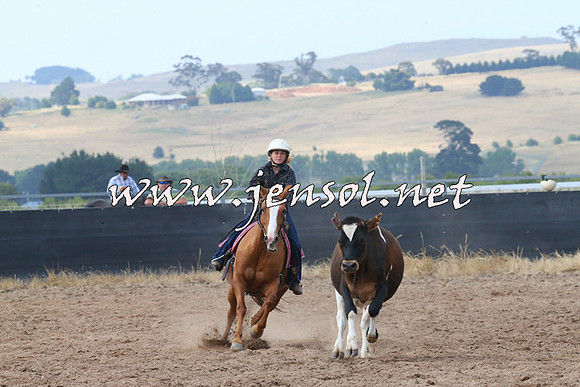 BraidwoodCampdraft2014_0505