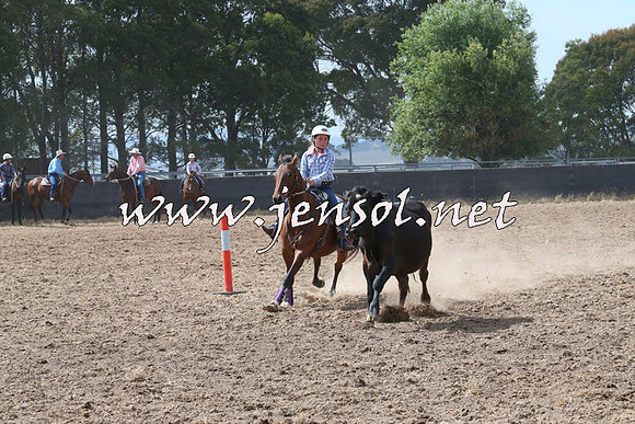 BraidwoodCampdraft2014_0526