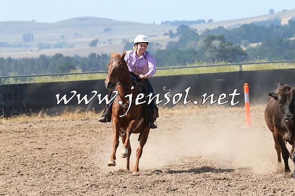 BraidwoodCampdraft2014_0580
