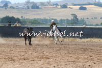 BraidwoodCampdraft2014_0432