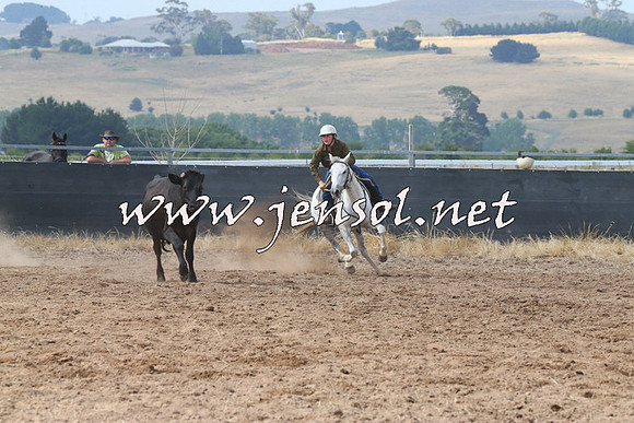 BraidwoodCampdraft2014_0432