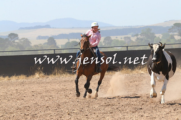 BraidwoodCampdraft2014_0632