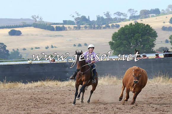 BraidwoodCampdraft2014_0494
