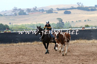 BraidwoodCampdraft2014_0471