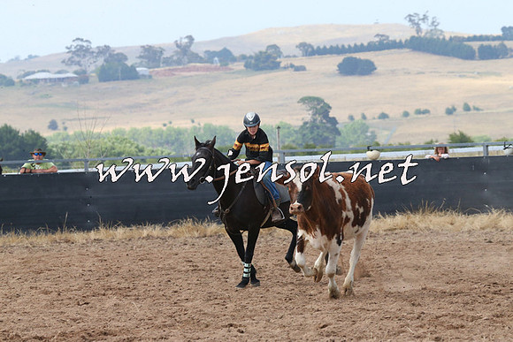 BraidwoodCampdraft2014_0471