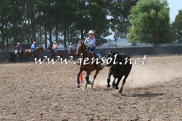 BraidwoodCampdraft2014_0530