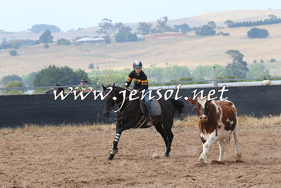 BraidwoodCampdraft2014_0473