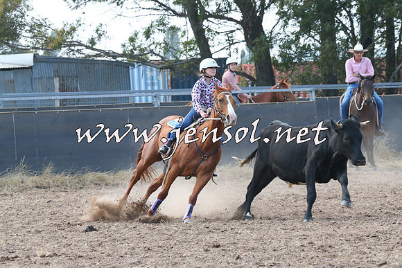 BraidwoodCampdraft2014_0572