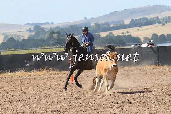 BraidwoodCampdraft2014_0593