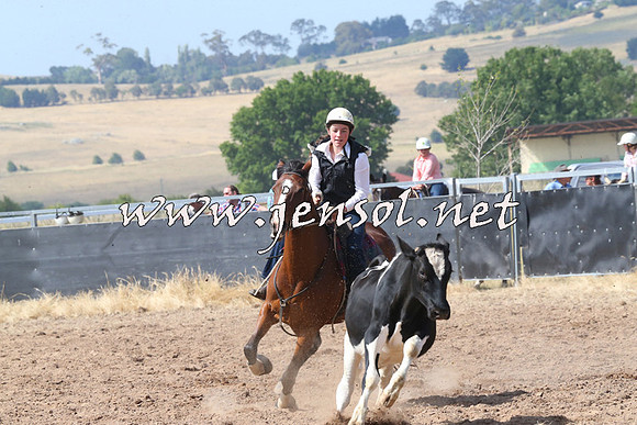 BraidwoodCampdraft2014_0577
