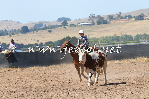 BraidwoodCampdraft2014_0621